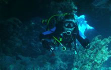 Zdjęcia z Safari Nurkowe St Johns 2017