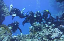 Zdjęcia z Safari Nurkowe St Johns 2017