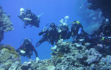 Zdjęcia z Safari Nurkowe St Johns 2017