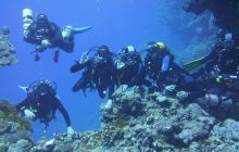 Zdjęcia z Safari Nurkowe St Johns 2017