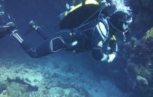 Zdjęcia z Safari Nurkowe St Johns 2017