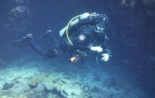 Zdjęcia z Safari Nurkowe St Johns 2017