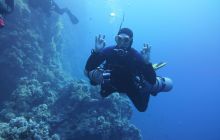 Zdjęcia z Safari Nurkowe St Johns 2017