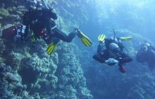 Zdjęcia z Safari Nurkowe St Johns 2017