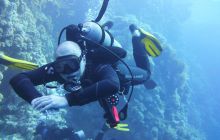 Zdjęcia z Safari Nurkowe St Johns 2017