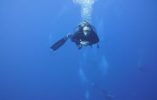 Zdjęcia z Safari Nurkowe St Johns 2017