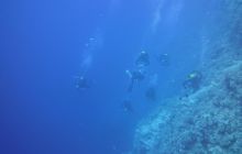 Zdjęcia z Safari Nurkowe St Johns 2017