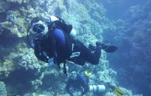 Zdjęcia z Safari Nurkowe St Johns 2017