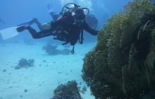 Zdjęcia z Safari Nurkowe St Johns 2017