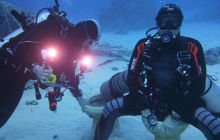 Zdjęcia z Safari Nurkowe St Johns 2017