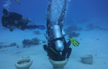 Zdjęcia z Safari Nurkowe St Johns 2017