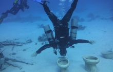 Zdjęcia z Safari Nurkowe St Johns 2017