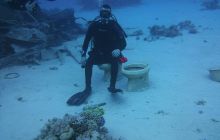 Zdjęcia z Safari Nurkowe St Johns 2017