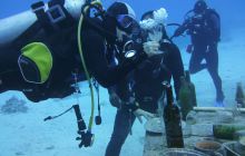 Zdjęcia z Safari Nurkowe St Johns 2017