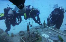 Zdjęcia z Safari Nurkowe St Johns 2017