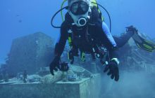 Zdjęcia z Safari Nurkowe St Johns 2017