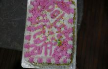 Zdjęcia z Safari Nurkowe St Johns 2017