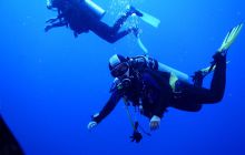 Zdjęcia z Safari Nurkowe St Johns 2017