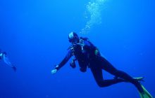 Zdjęcia z Safari Nurkowe St Johns 2017