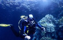 Zdjęcia z Safari Nurkowe St Johns 2017