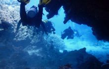 Zdjęcia z Safari Nurkowe St Johns 2017