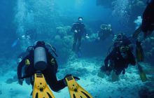 Zdjęcia z Safari Nurkowe St Johns 2017