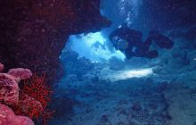 Zdjęcia z Safari Nurkowe St Johns 2017