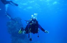 Zdjęcia z Safari Nurkowe St Johns 2017