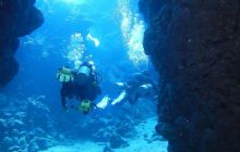 Zdjęcia z Safari Nurkowe St Johns 2017