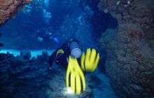 Zdjęcia z Safari Nurkowe St Johns 2017