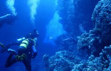 Zdjęcia z Safari Nurkowe St Johns 2017