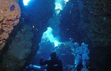 Zdjęcia z Safari Nurkowe St Johns 2017