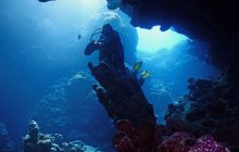 Zdjęcia z Safari Nurkowe St Johns 2017