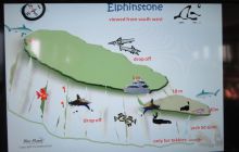 Zdjęcia z Safari Nurkowe St Johns 2017