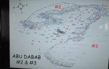 Zdjęcia z Safari Nurkowe St Johns 2017