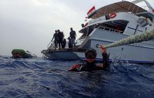 Zdjęcia z Safari Nurkowe St Johns 2017