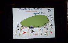 Zdjęcia z Safari Nurkowe St Johns 2017