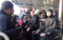 Zdjęcia z Safari Nurkowe St Johns 2017