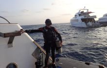 Zdjęcia z Safari Nurkowe St Johns 2017