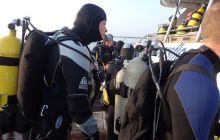 Zdjęcia z Safari Nurkowe St Johns 2017