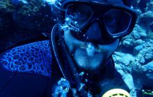 Zdjęcia z Safari Nurkowe St Johns 2017