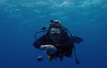 Zdjęcia z Safari Nurkowe St Johns 2017