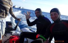 Zdjęcia z Safari Nurkowe St Johns 2017