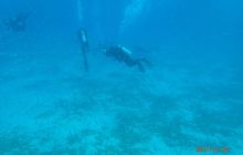 Zdjęcia z Safari Nurkowe St Johns 2017