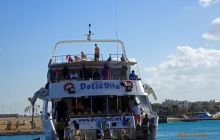 Zdjęcia z Safari Nurkowe St Johns 2017