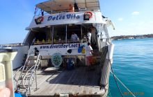 Zdjęcia z Safari Nurkowe St Johns 2017