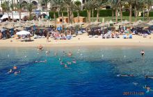 Zdjęcia z Safari Nurkowe St Johns 2017