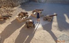 Zdjęcia z Safari Nurkowe St Johns 2017