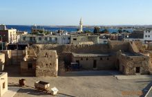 Zdjęcia z Safari Nurkowe St Johns 2017