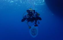 Zdjęcia z Safari Nurkowe St Johns 2017